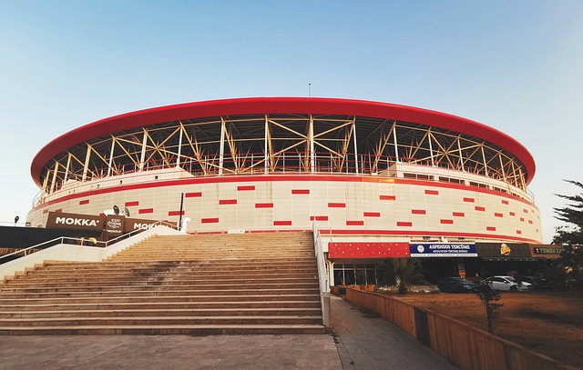 色的篮球智 色的篮球智