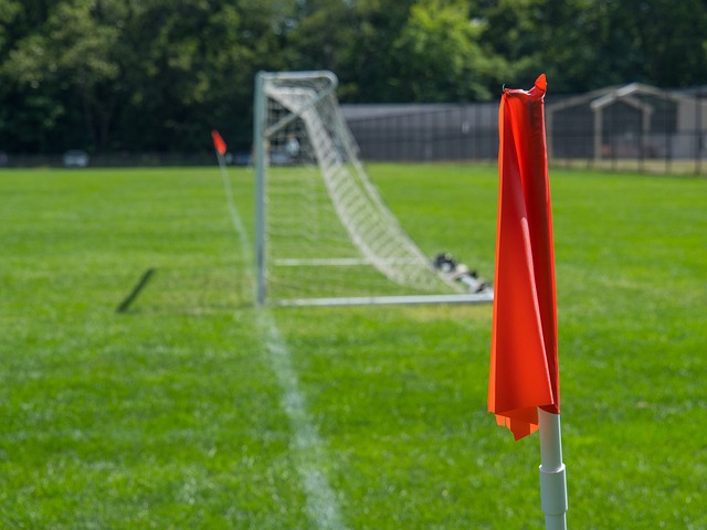 实力稍弱的 实力稍弱的