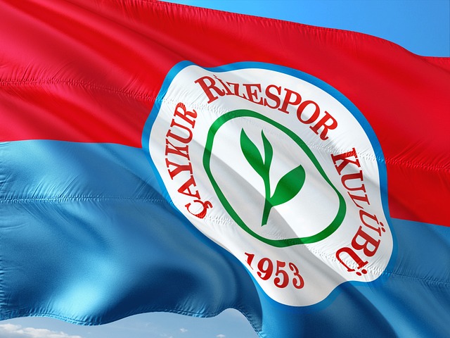 价为基准 价为基准